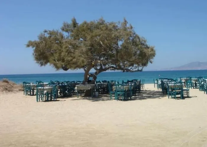 Hotel apartamentowy Harmony 4*