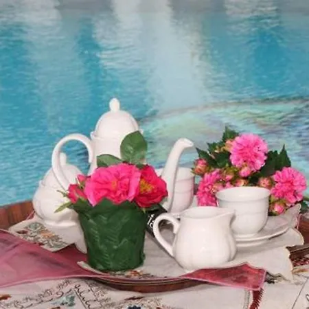 Aparthotel Harmony Agia Anna (Naxos)